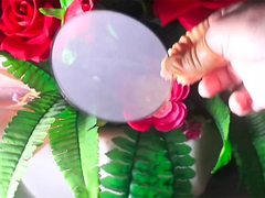 Rede de filtro com gravação em rolo a rolo